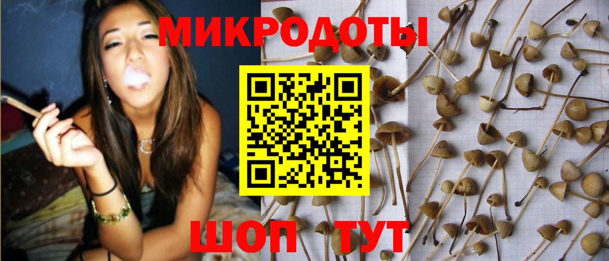 Галлюциногенные грибы Magic Shrooms  Галлюциногенные грибы GOLDEN TEACHER  Вход с VPN  купить наркотик  Мурманск 